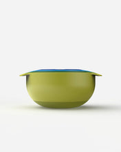 Load image into Gallery viewer, Nest™ 9 Plus Bowl Set- Multicoloured