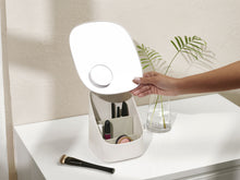 Load image into Gallery viewer, Viva Pedestal Mirror with Cosmetic Organiser