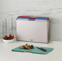 Load image into Gallery viewer, Folio™ Large - Coast/Silver